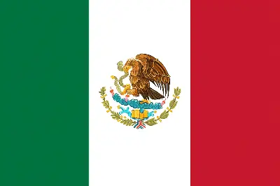 Español (MX)